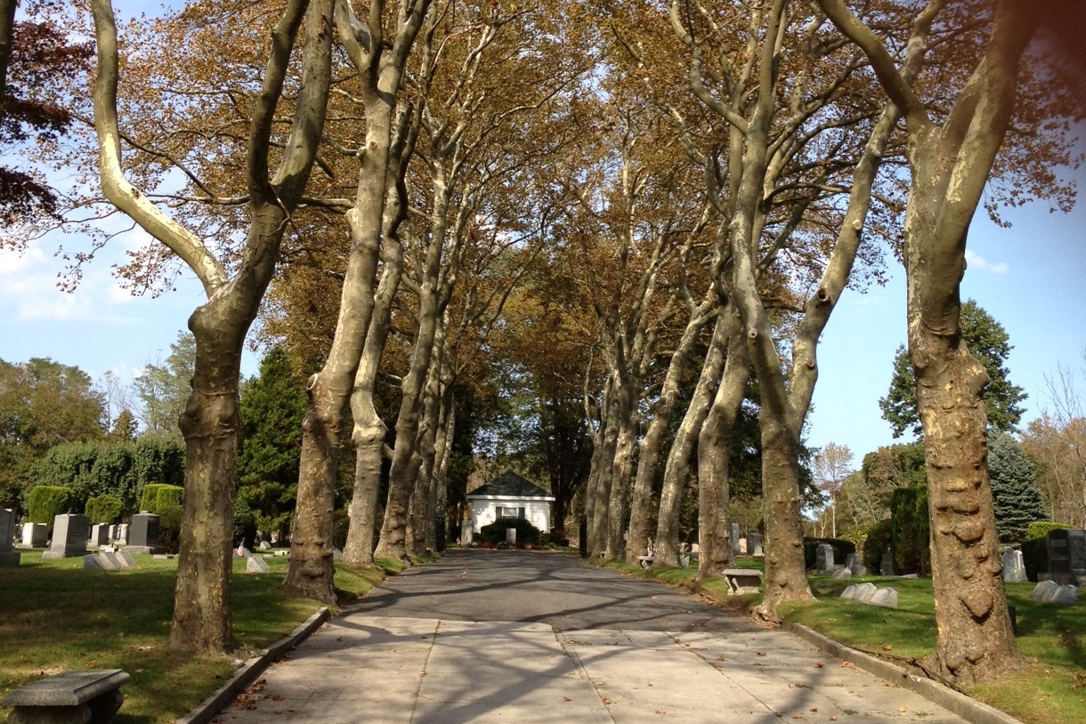 Temple Beth El Cemetery